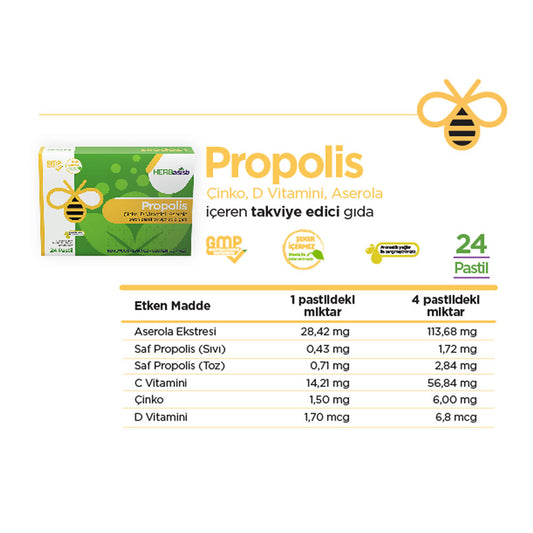 Herbasist Propolis Pastil