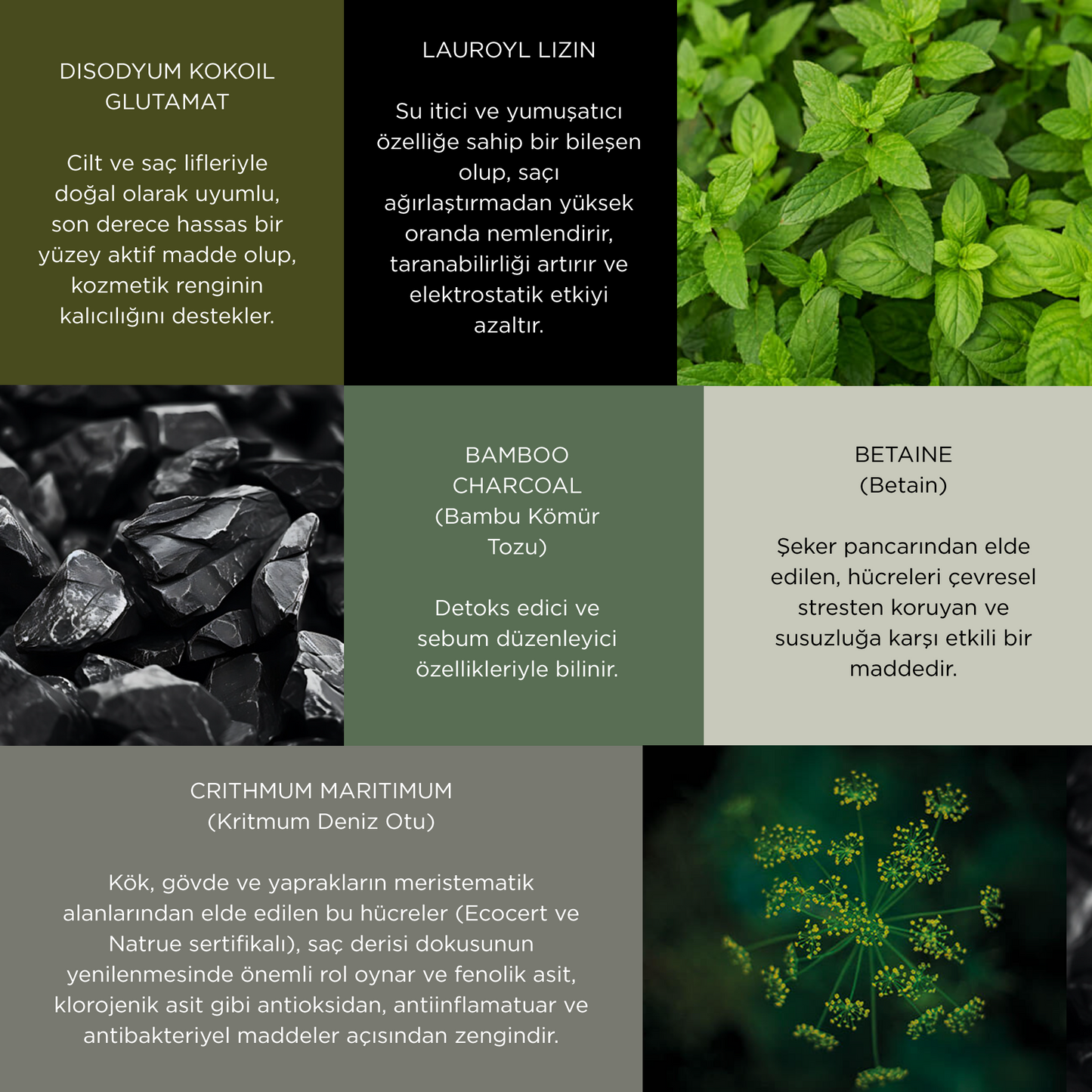 Meristema Hydra Doğal Vegan Tuzsuz Şampuan 500ml, Sebum Dengeleyici Saç Bakımı