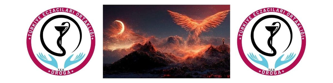 Eczacıdan Eczacıya ; Geleceğin Eczaciligini Birlikte İnşaa edelim...