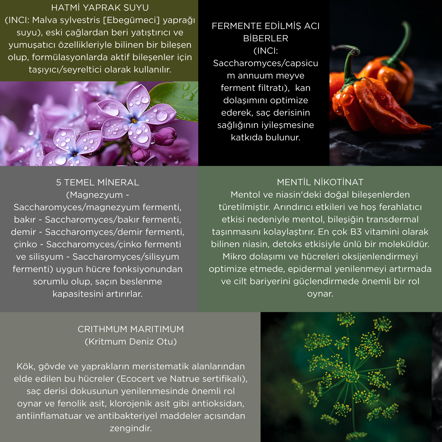 Meristema Yenilenme Terapisi - Enerji Verici Esans, Saç Derisini Güçlendiren Bitkisel Serum Seti